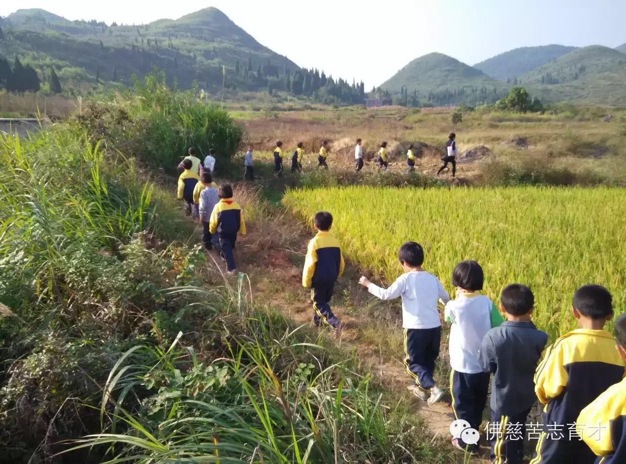 webwxgetmsgimg (2).jpg